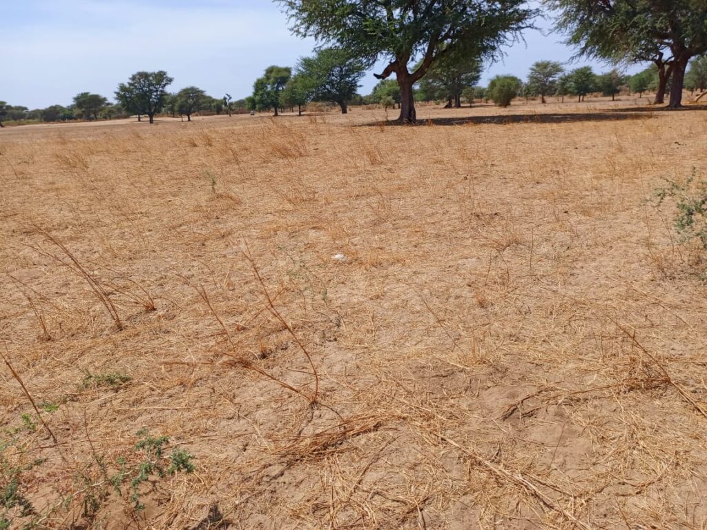 Terrain Agricole de 3,07 Hectares vers Tassette – Thiès