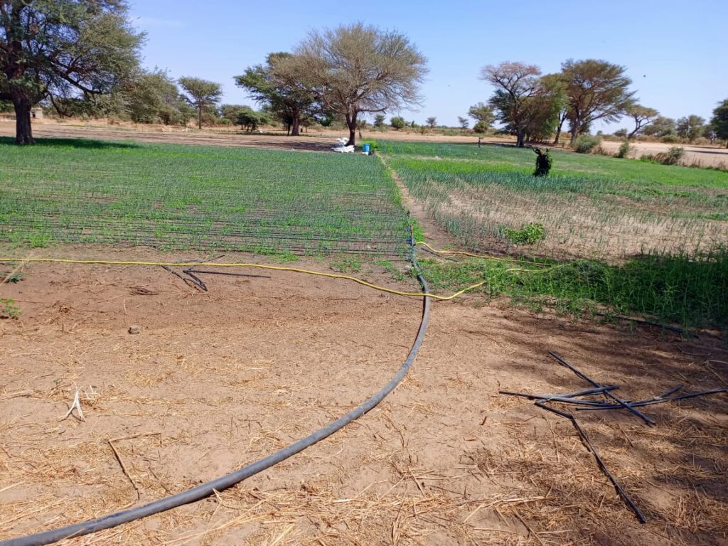 Terrain Agricole de 3,07 Hectares vers Tassette – Thiès