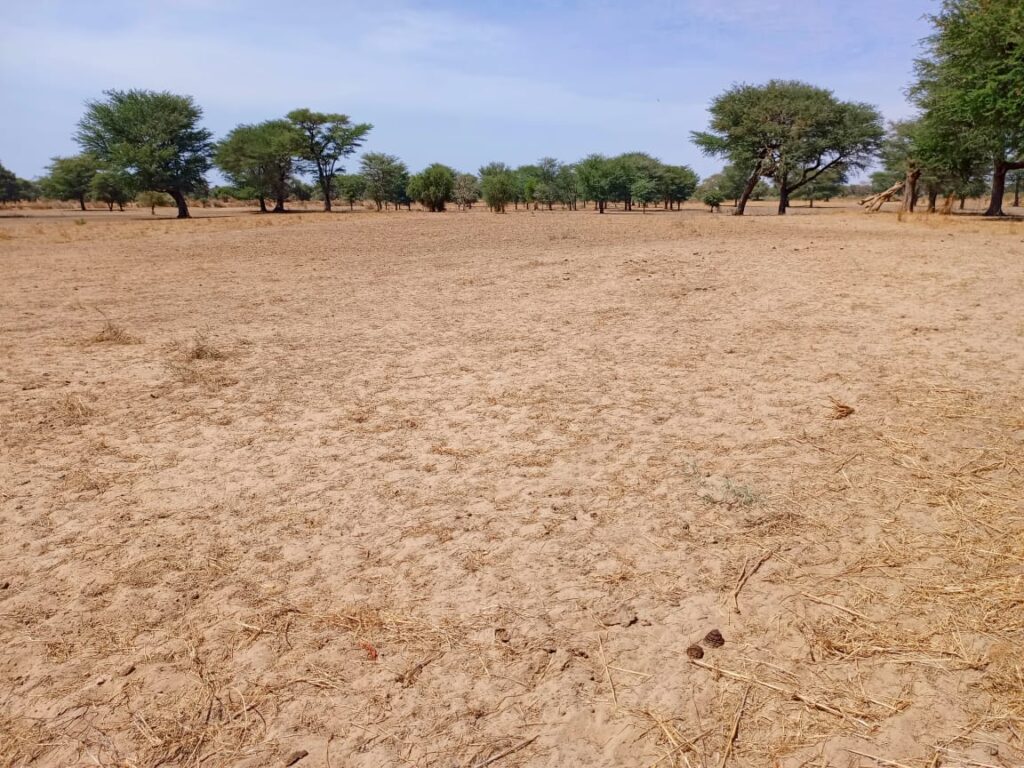 Terrain Agricole de 3,07 Hectares vers Tassette – Thiès
