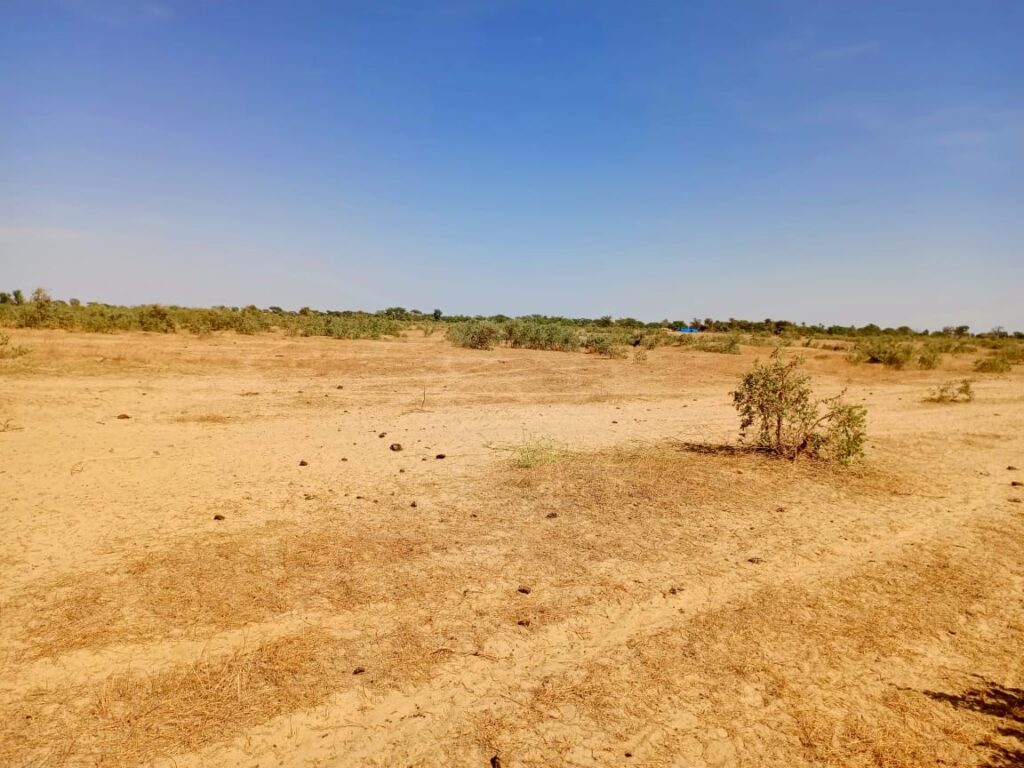 Terrain Agricole de 20 hectares vers Tassette – Thiès