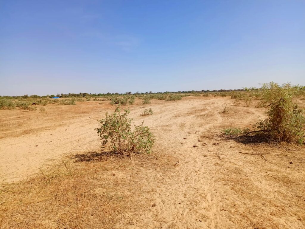 Terrain Agricole de 20 hectares vers Tassette – Thiès