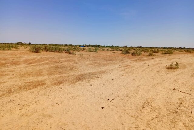 Terrain Agricole de 20 hectares vers Tassette – Thiès