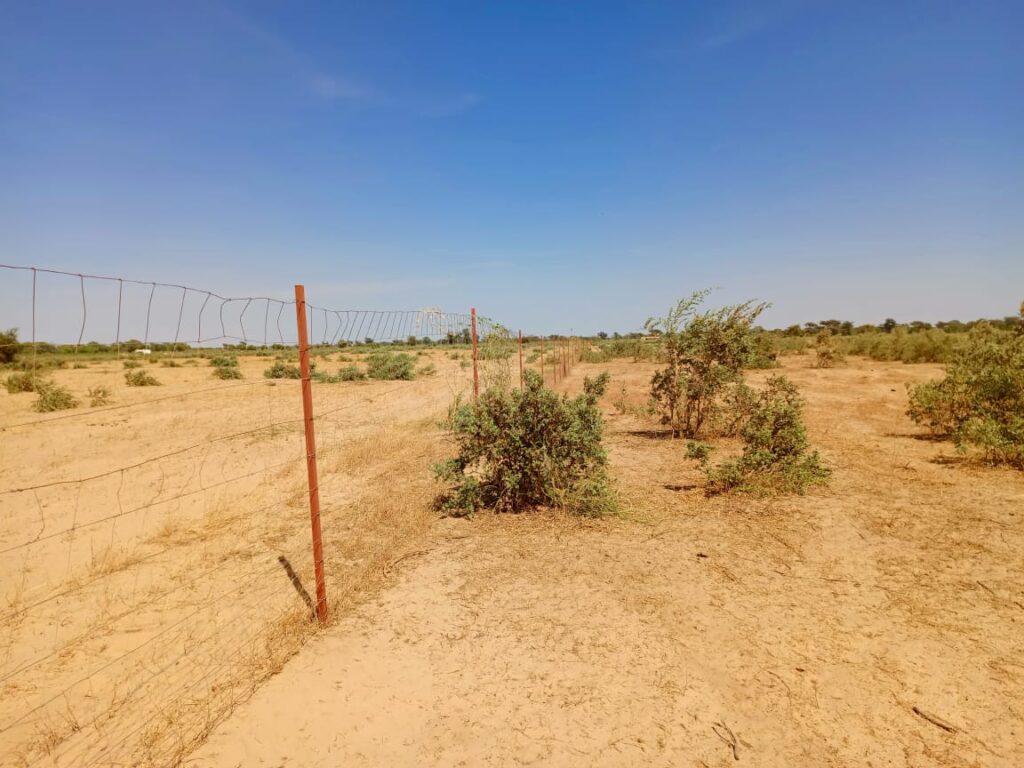 Terrain Agricole de 20 hectares vers Tassette – Thiès