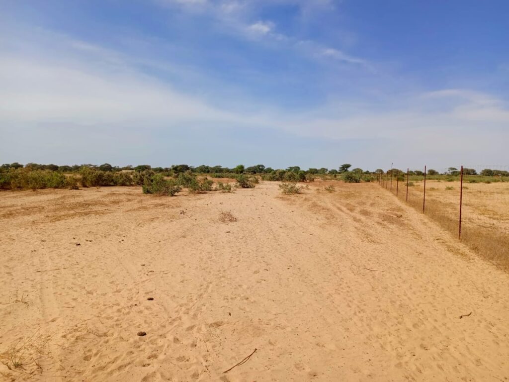 Terrain Agricole de 20 hectares vers Tassette – Thiès