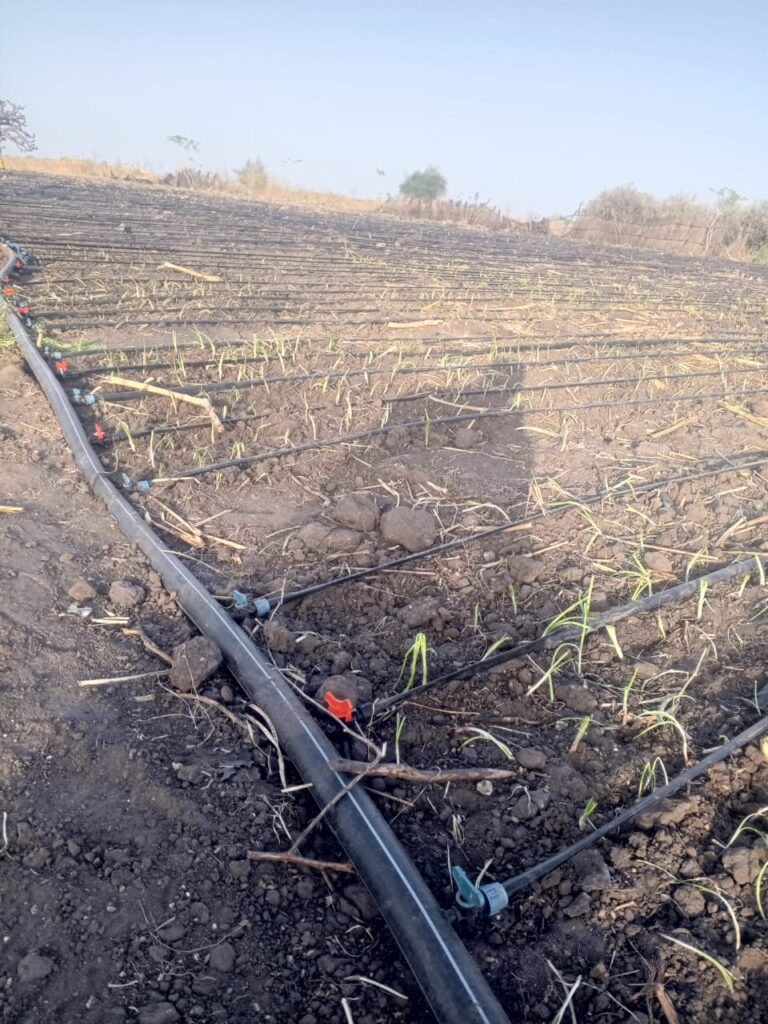 Verger de 6.590 m² vers Sésséne