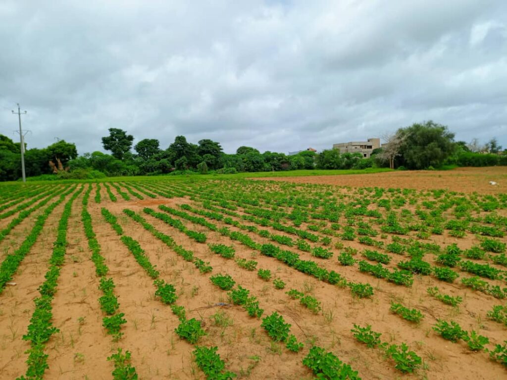 Terrain industriel de 8555 M² vers Keur Moussa Thies