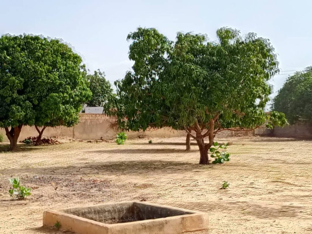 Location Verger de 5.000 m² vers Notto Diobass-Thiès