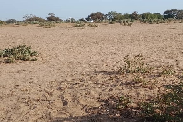 Terrain Agricole de 5 Hectares vers Tassette – Thiès