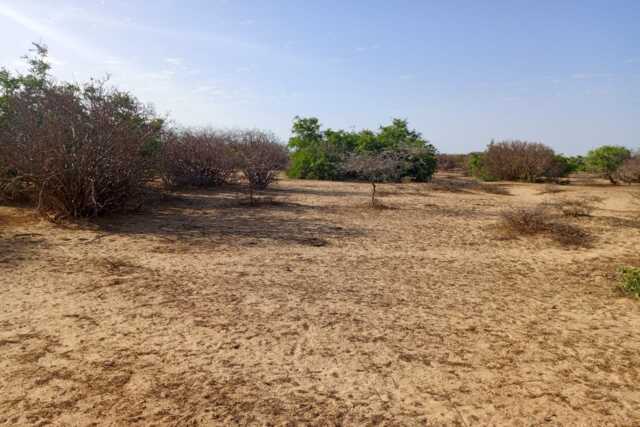 3,91 ha stratégiques à Diama vers Saint Louis, enbordure de la Route