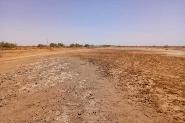 Terrain Agricole de 60 hectares vers Diama – Saint Louis