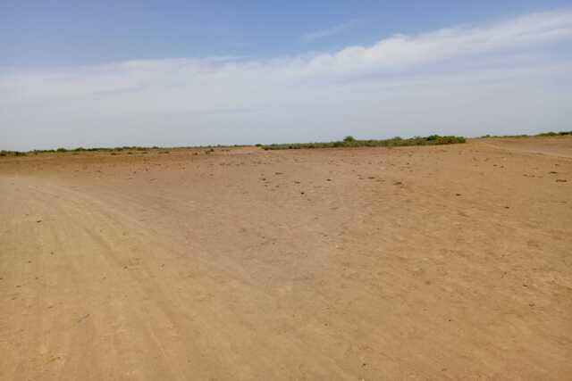 Terrain Agricole de 8,96 hectares vers Diama – Saint – Louis