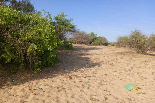 3,91 ha stratégiques à Diama vers Saint Louis, enbordure de la Route