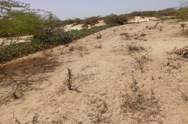 Terrain Agricole de 3 hectares vers Kab Gaye – Louga
