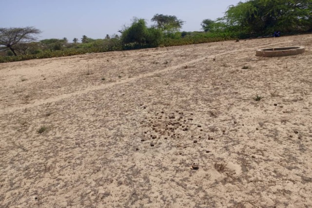 Terrain Agricole de 1513 m² vers Diama – Saint – Louis