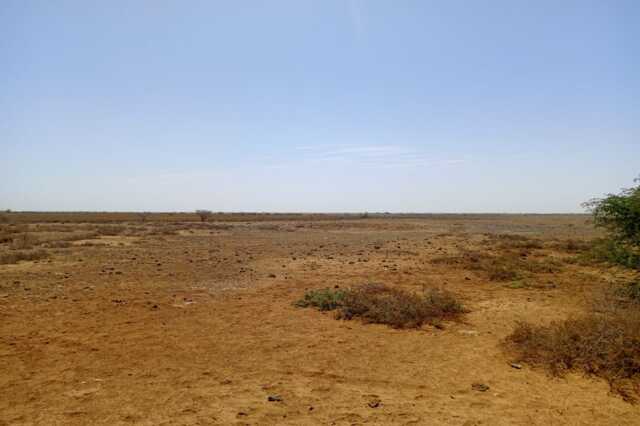 Terrain Agricole de 40 hectares vers Diama – Saint – Louis