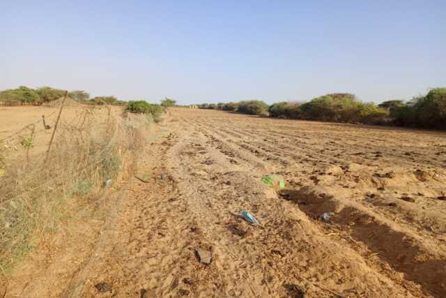 Verger de 2,55 Hectares vers Diama – Saint – Louis