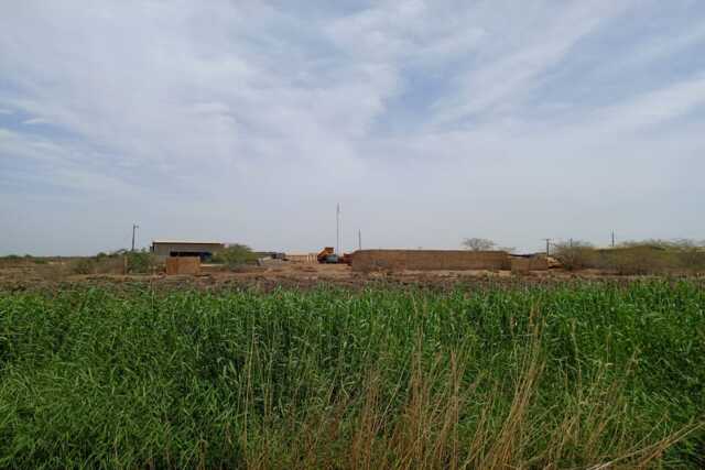 Terrain Agricole de 8,96 hectares vers Diama – Saint – Louis