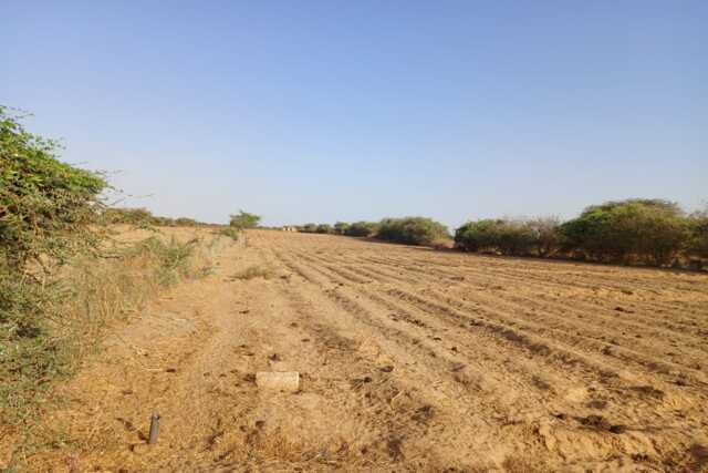 Verger de 2,55 Hectares vers Diama – Saint – Louis