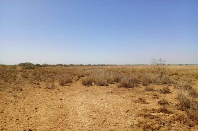 Terrain Agricole de 40 hectares vers Diama – Saint – Louis
