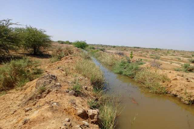 Terrain Agricole de 40 hectares vers Diama – Saint – Louis