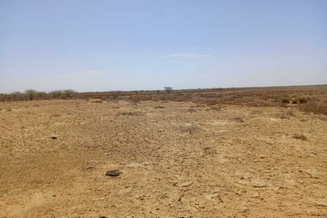 Terrain Agricole de 40 hectares vers Diama – Saint – Louis