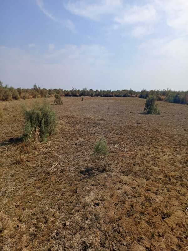 Terrain Agricole de 25 Hectares vers Diama – Saint – Louis