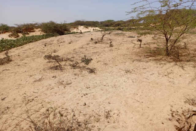 Terrain Agricol de 1.807 m² vers Gandiole – Saint – Louis