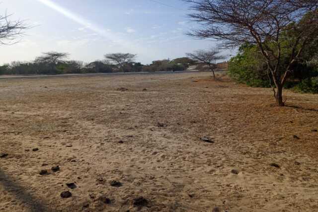 3,91 ha stratégiques à Diama vers Saint Louis, enbordure de la Route