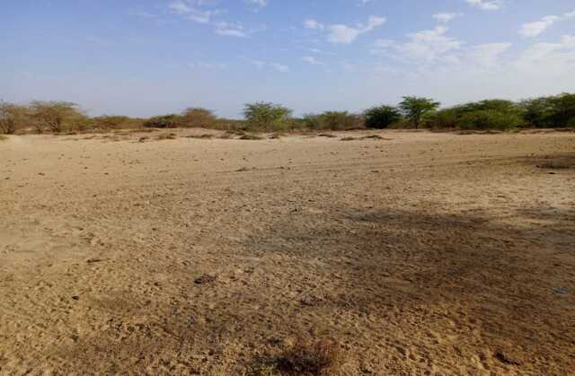 Location de Terrain Agricole de 3,48 hectares vers Diama – Saint – Louis