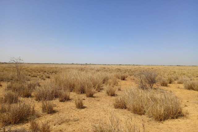 Terrain Agricole de 40 hectares vers Diama – Saint – Louis