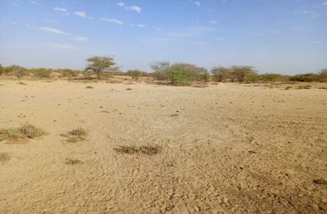 Location de Terrain Agricole de 3,48 hectares vers Diama – Saint – Louis