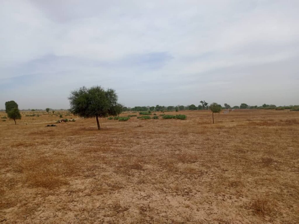 Terrain Agricole de 7783 m² vers Tassette – Thiès