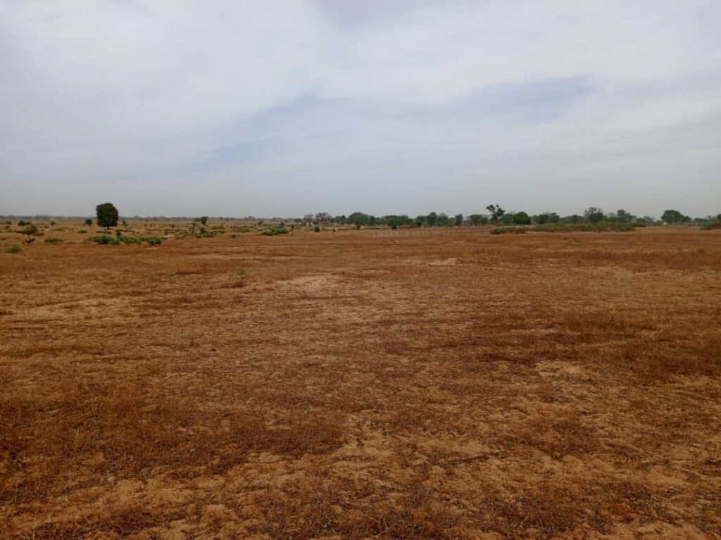 Terrain Agricole de 7783 m² vers Tassette – Thiès