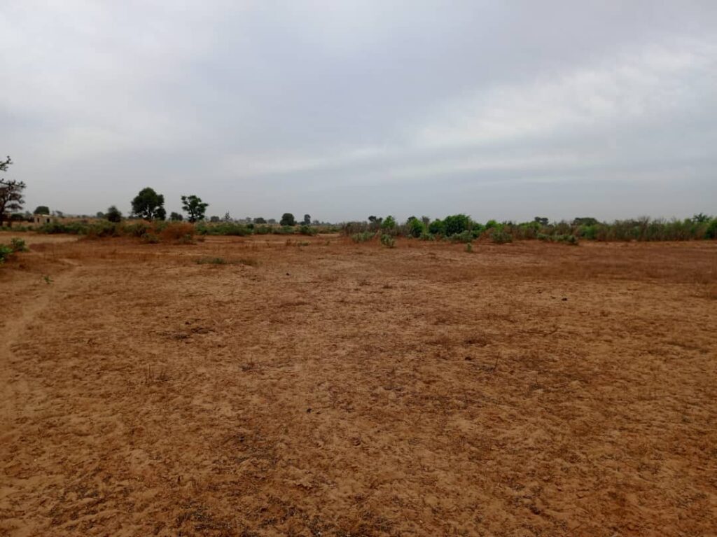 Terrain Agricole de 7783 m² vers Tassette – Thiès