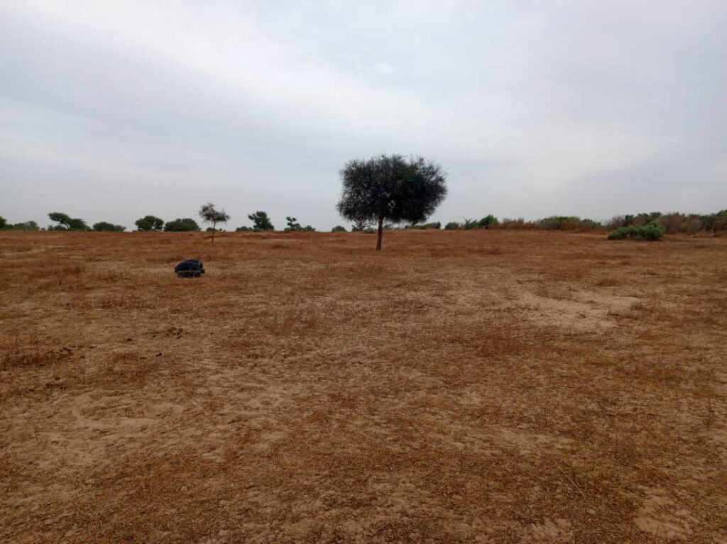 Terrain Agricole de 7783 m² vers Tassette – Thiès