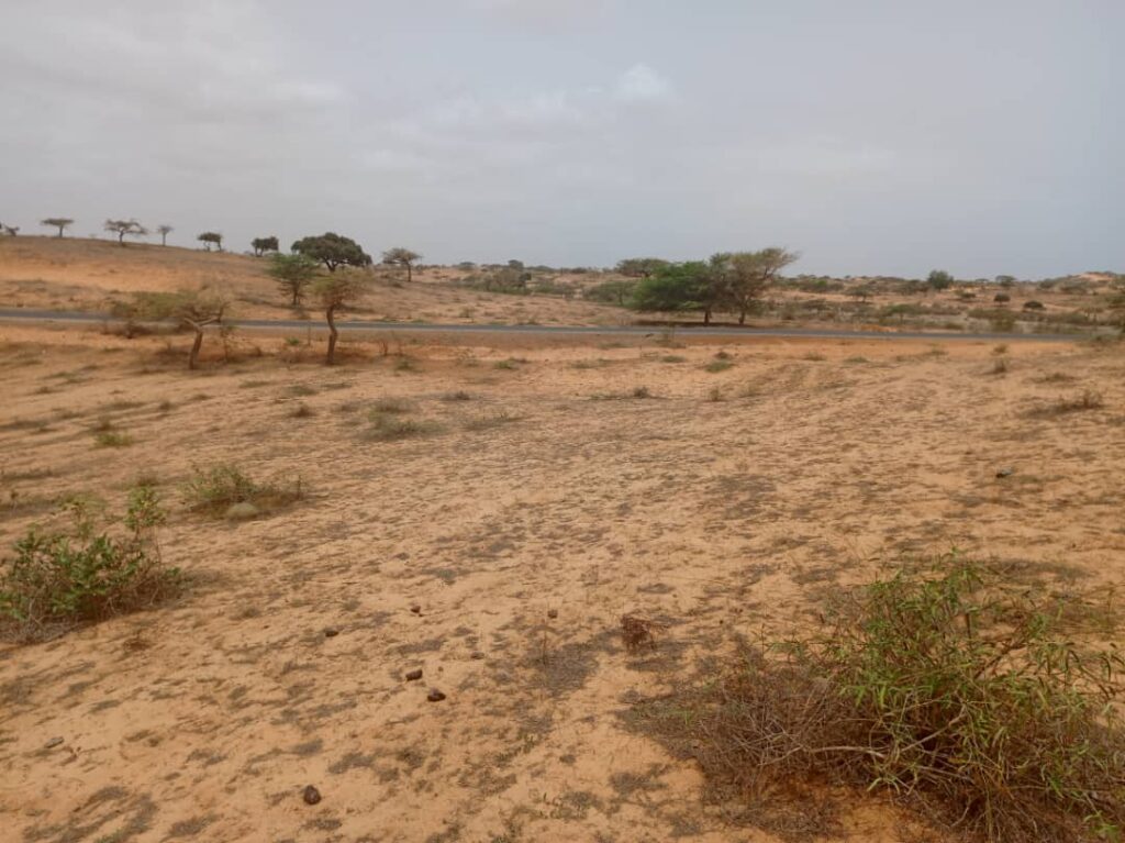 Terrain Agricole de 8.279 m² vers Kab Gaye – Louga
