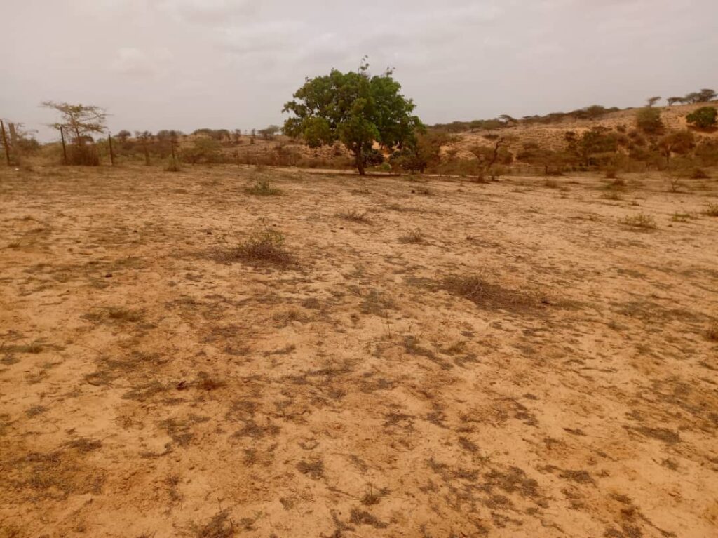 Terrain Agricole de 8.279 m² vers Kab Gaye – Louga