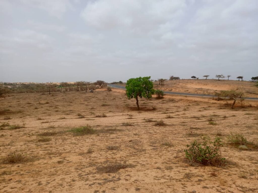 Terrain Agricole de 8.279 m² vers Kab Gaye – Louga