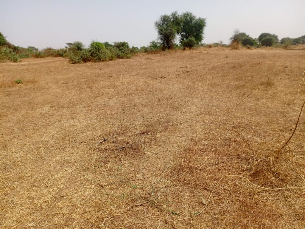 Investissement Vert : 2,34 hectares stratégique dans la zone horticole de Notto Diobass