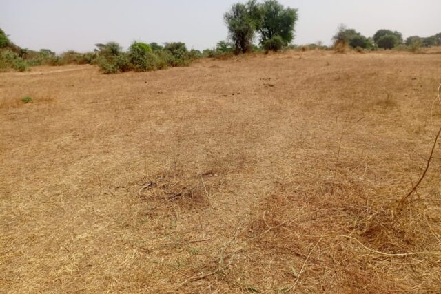 Investissement Vert : 2,34 hectares stratégique dans la zone horticole de Notto Diobass