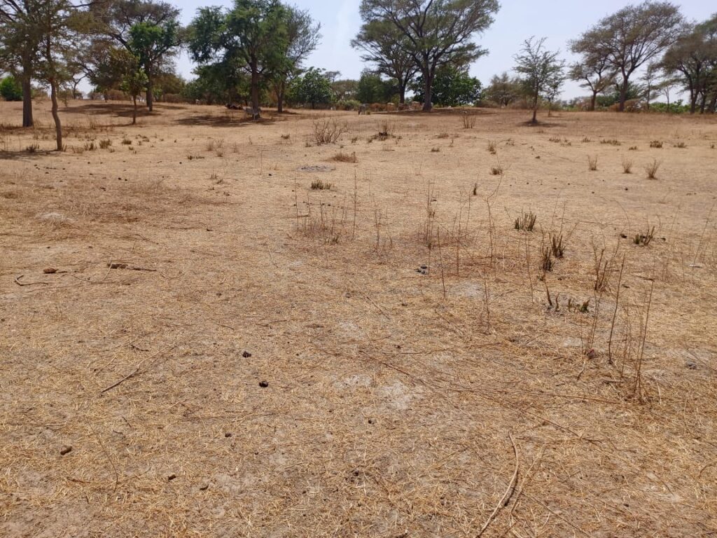 2,50 hectares à fort potentiel : l’emplacement idéal vers Tassette – Thiès
