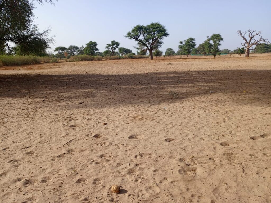 Lancez votre projet d’envergure : 2 Hectares stratégiques vers Tassette – Thiès