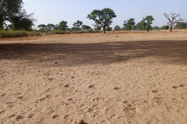 Lancez votre projet d’envergure : 2 Hectares stratégiques vers Tassette – Thiès