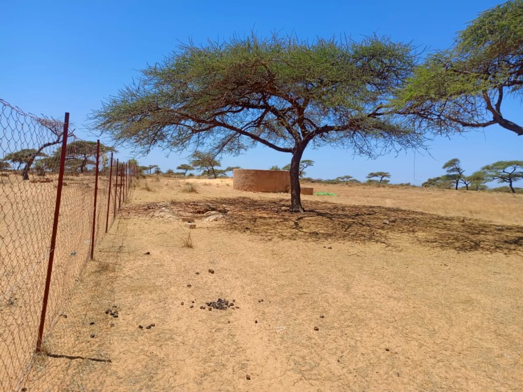 Verger de 2,82 hectares vers Gandon – Saint-Louis