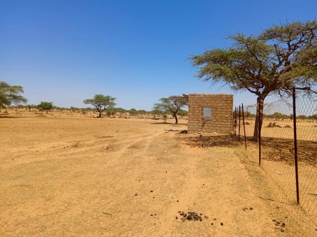 Verger de 2,82 hectares vers Gandon – Saint-Louis