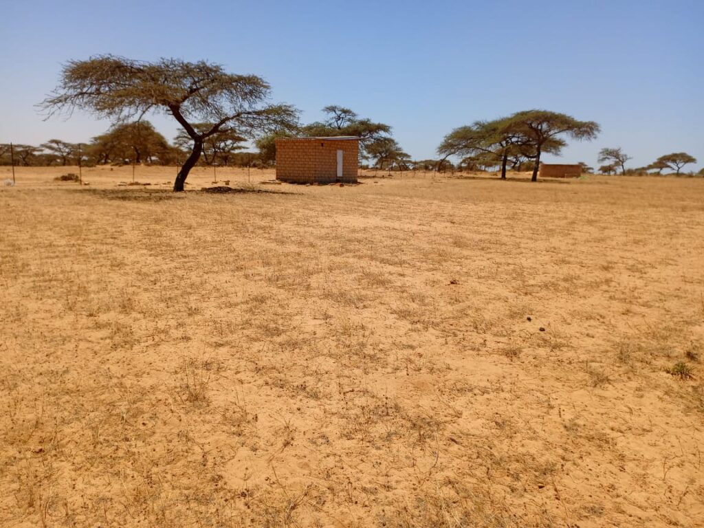 Verger de 2,82 hectares vers Gandon – Saint-Louis