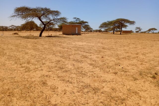 Verger de 2,82 hectares vers Gandon – Saint-Louis