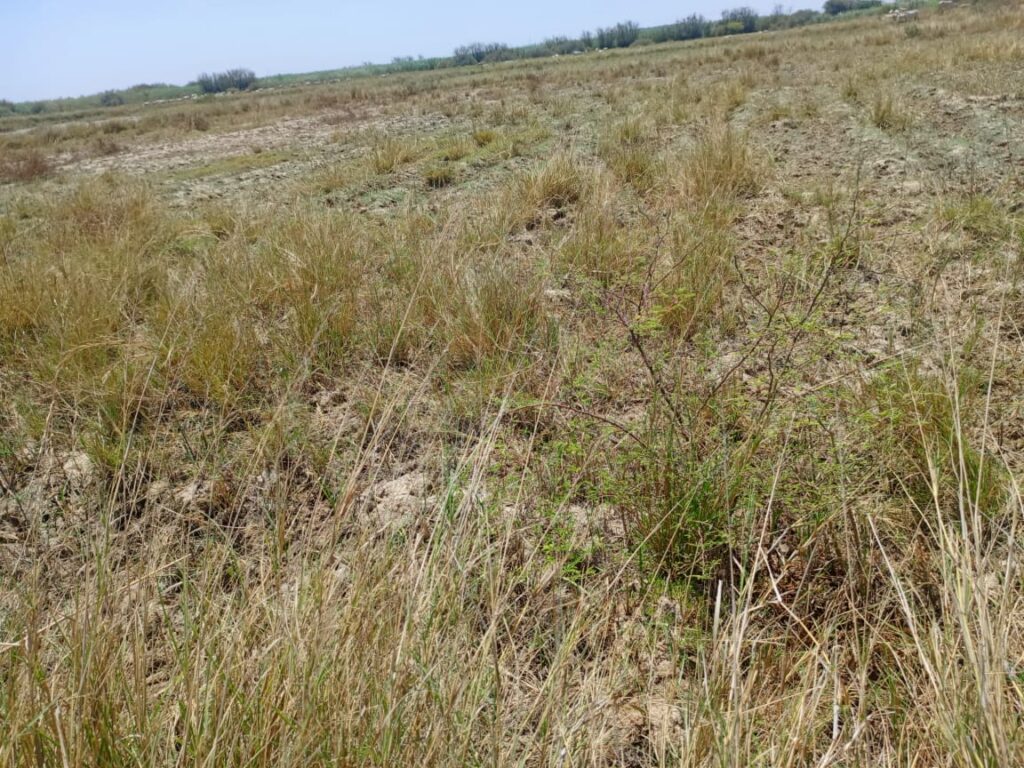 Terrain Agricole de 2,06 hectares vers Diama – Saint-Louis