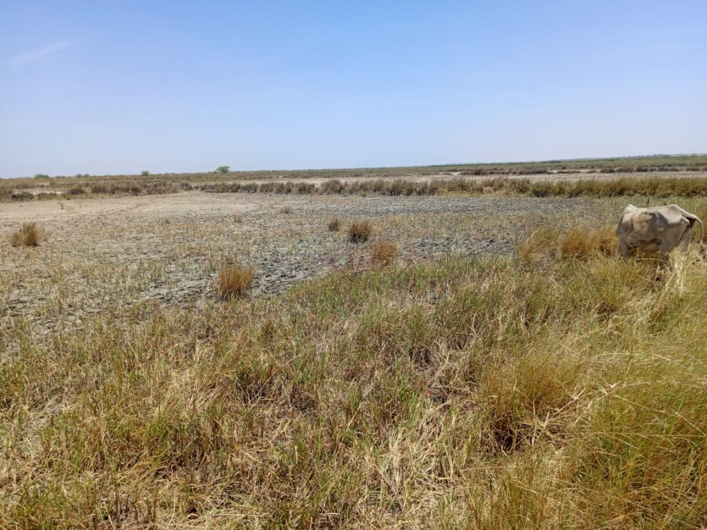 Terrain Agricole de 2,13 hectares vers Diama – Saint-Louis