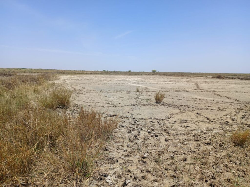 Terrain Agricole de 2,13 hectares vers Diama – Saint-Louis